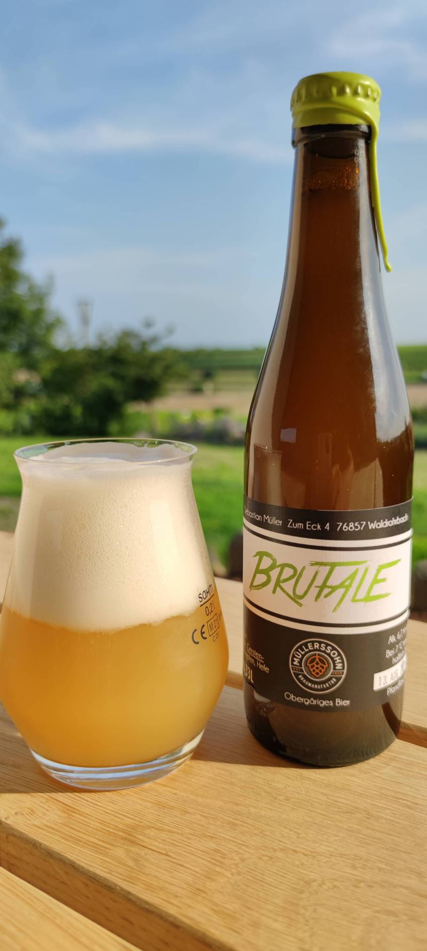 Flasche und Bär
